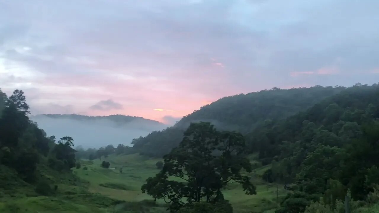 Past flood - Sunrise and horses after flood 23 Feb 2022