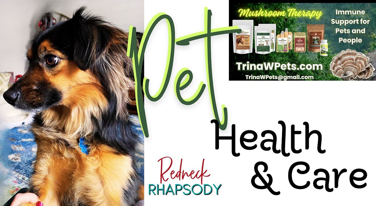 Let's Talk Pet Care and Health With The Mushroom Ladies'