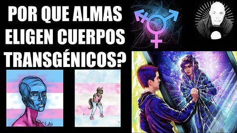 Las Almas que ELIGEN cuerpos Transgénicos