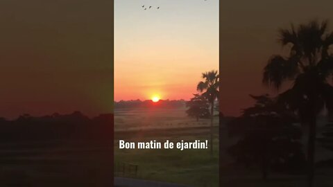 Villahermosa: Bon matin de ejardin!