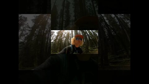 Explore Pt7 Subscribe for more #mountains #camping #hiking #river #adventure #waterfall #short #vlog