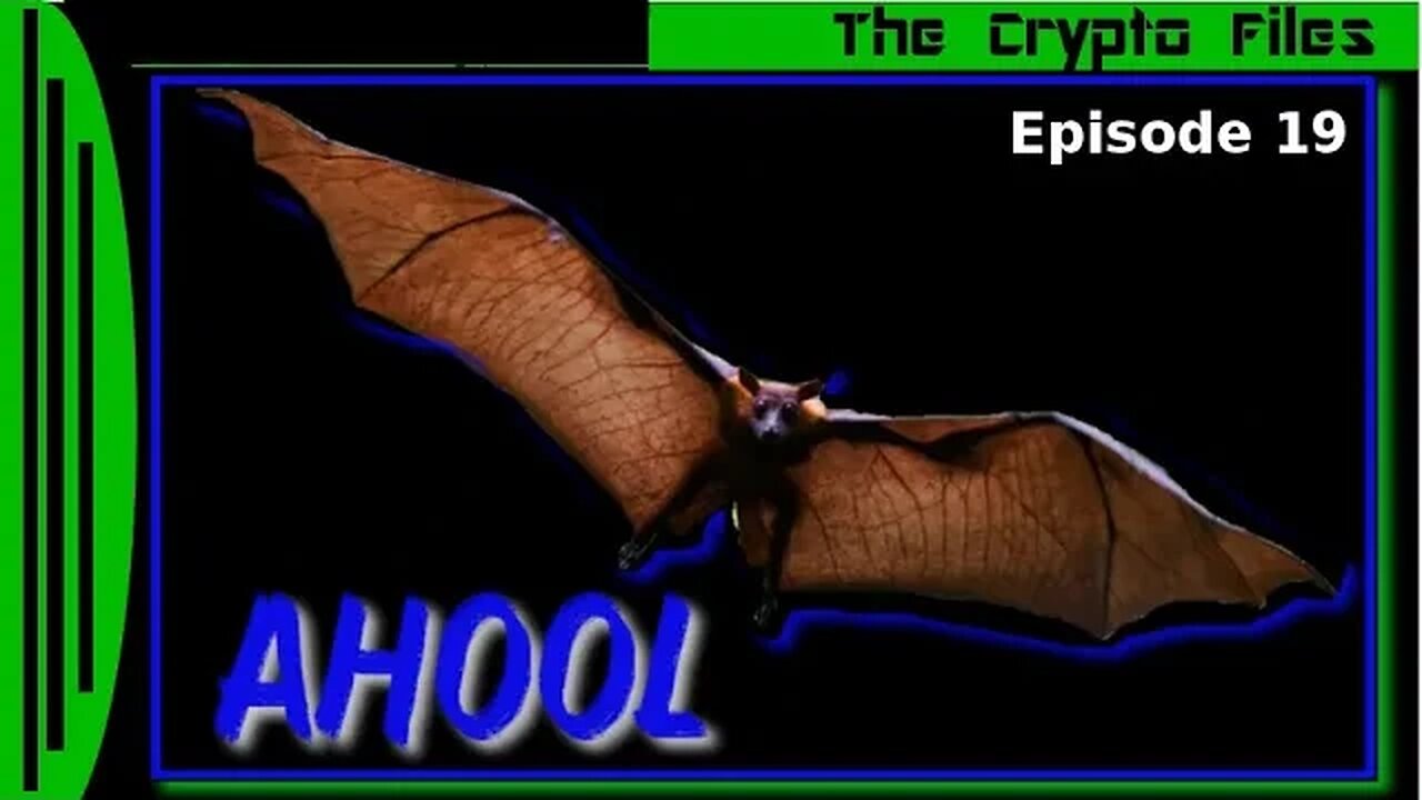 The Crypto Files | The Ahool | Ep19