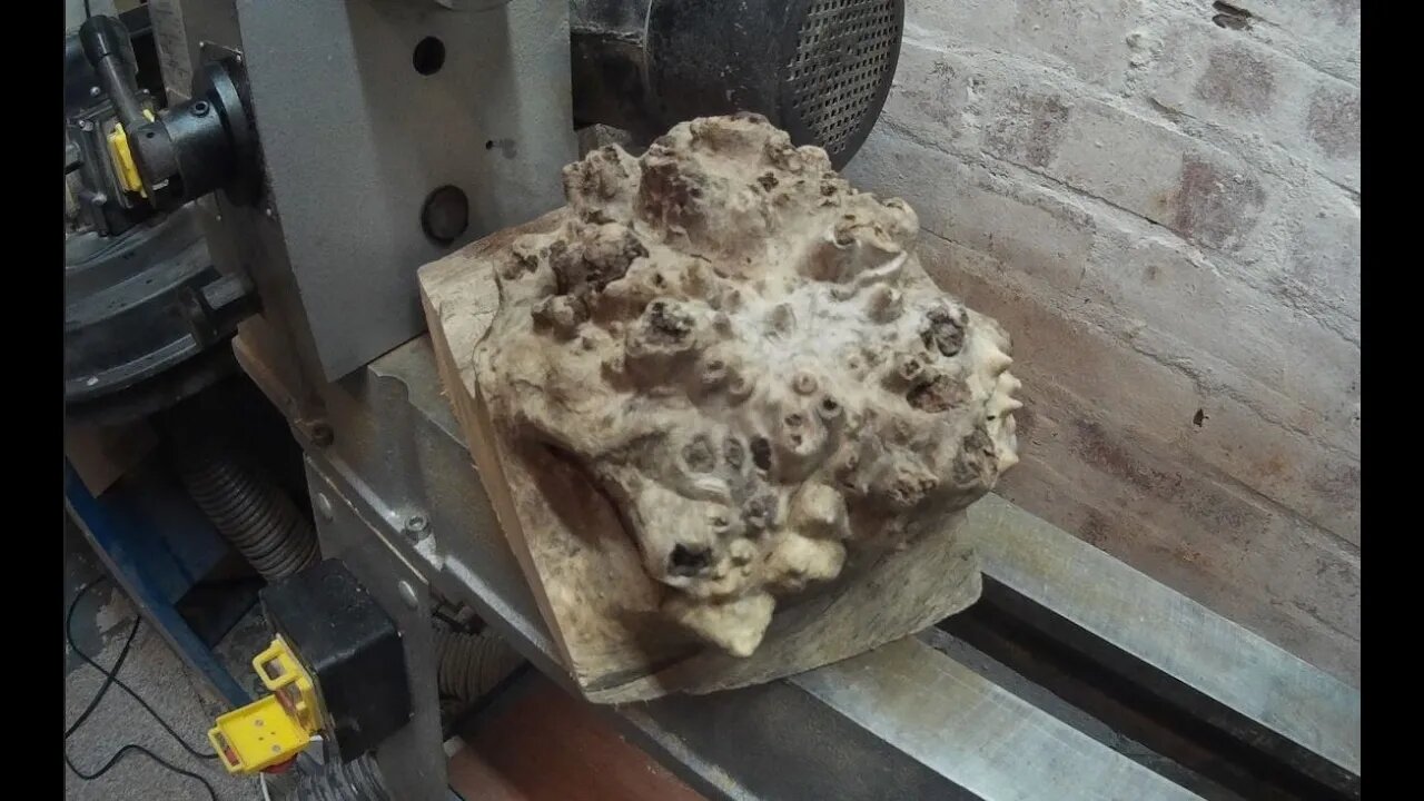 Woodturning - The Old Oak Burl