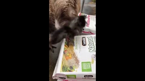 Hey you can't eat these