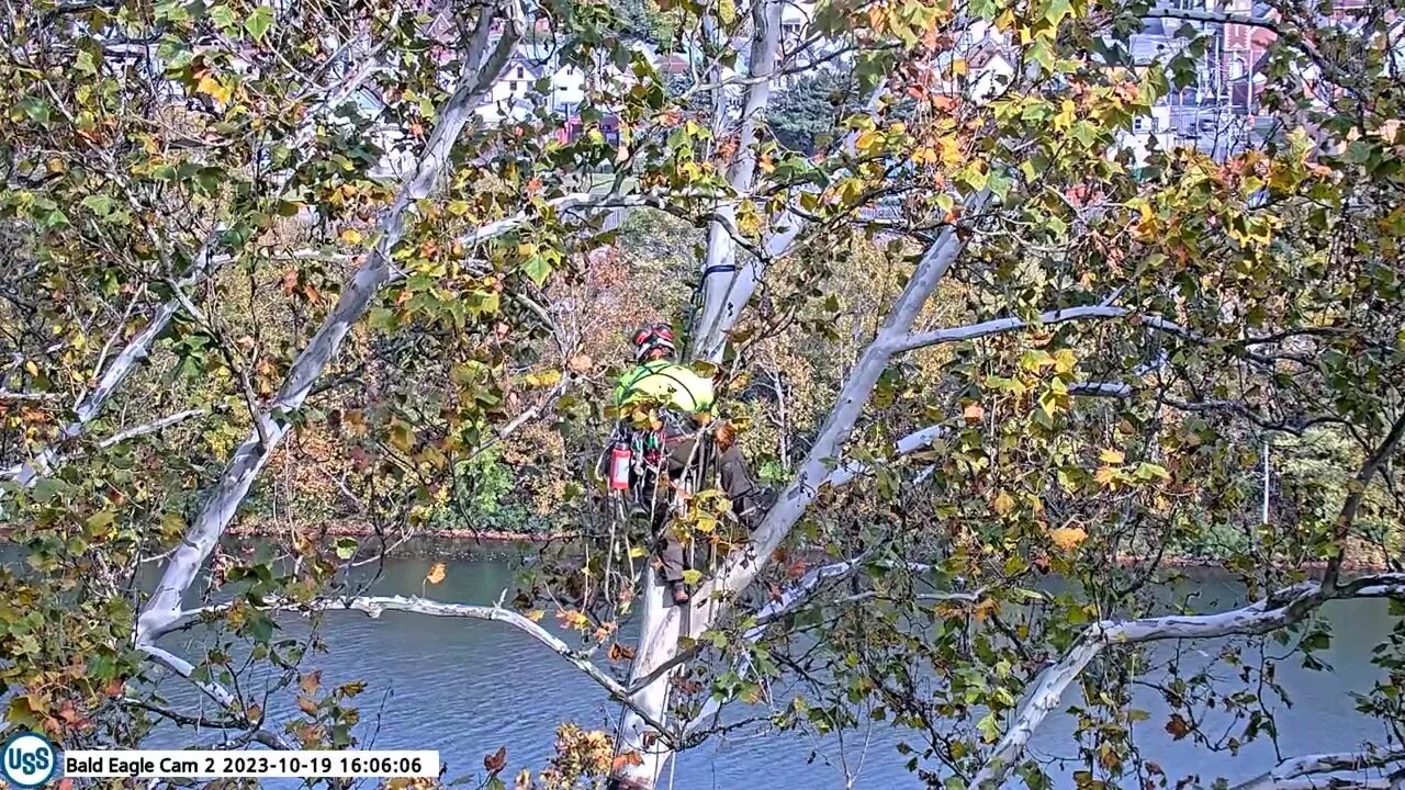 USS Bald Eagle cam 2 10-19-23 @16:12 Rob the tree guy repositions cam 1 part 1