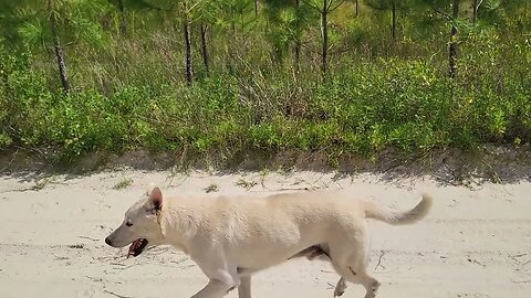 North Florida Life