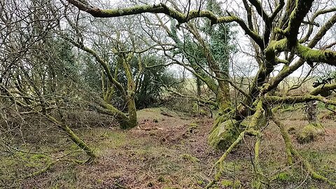 Clearing up after filming 26th March 2023