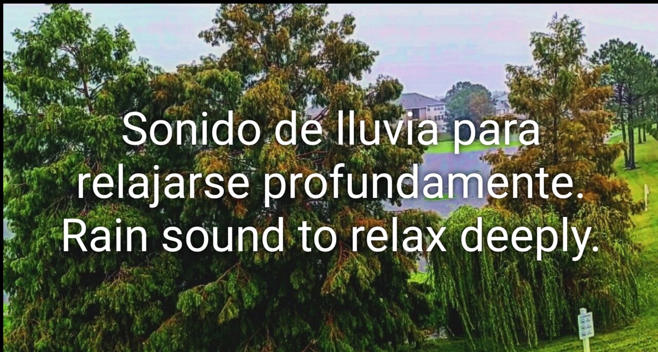 Relajación con sonido de lluvia 2.