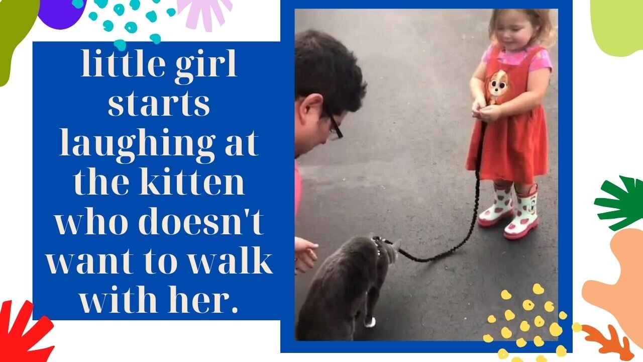 little girl stars laughing at the kitten who doesn't want to walk with her!