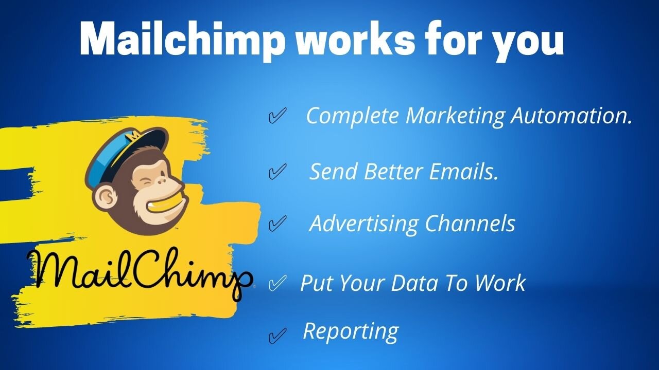 MailChimp Email Marketing Training