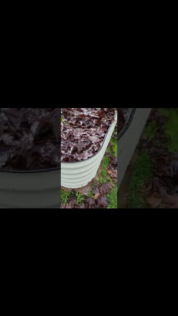 Putting your raised bed to sleep for the winter