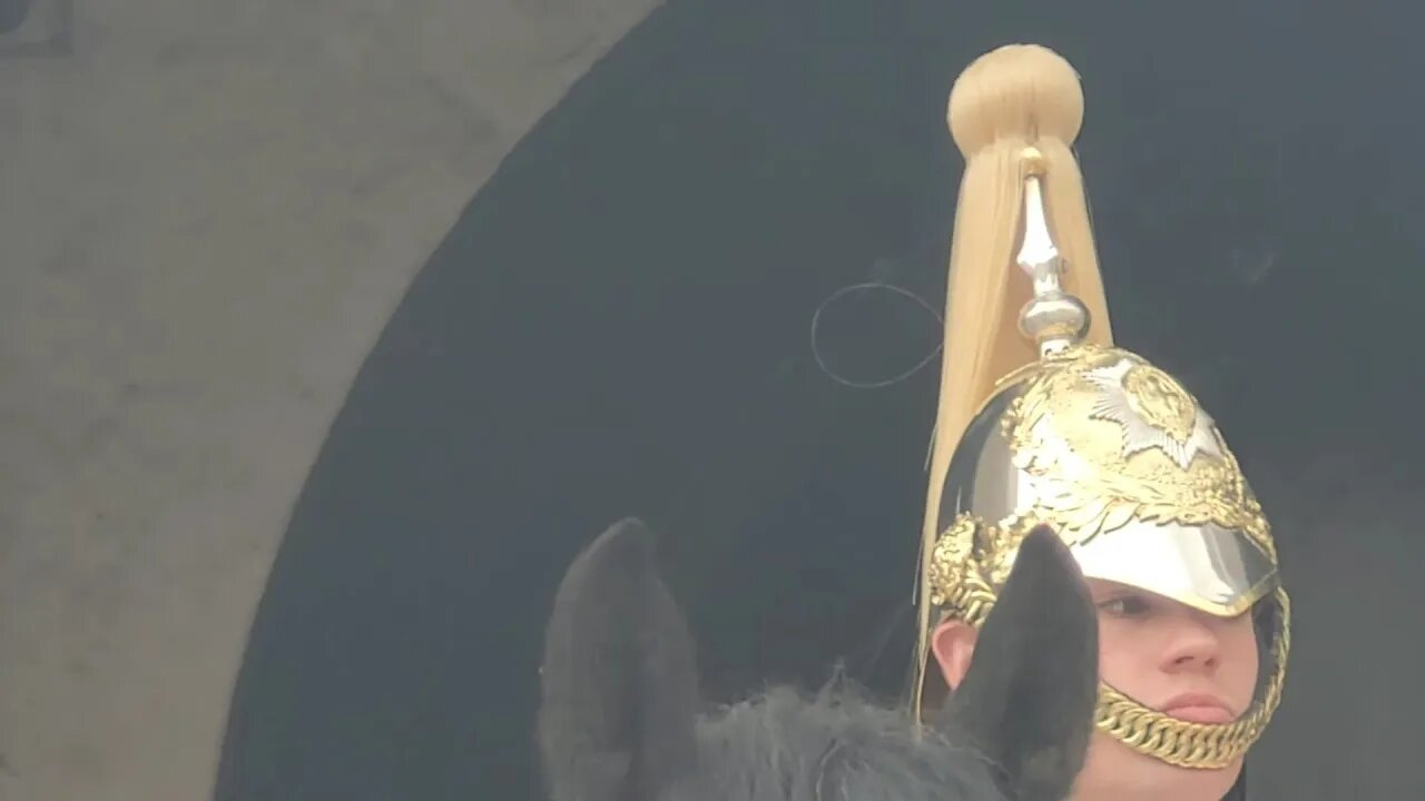 Not a hair out of place #horseguardsparade