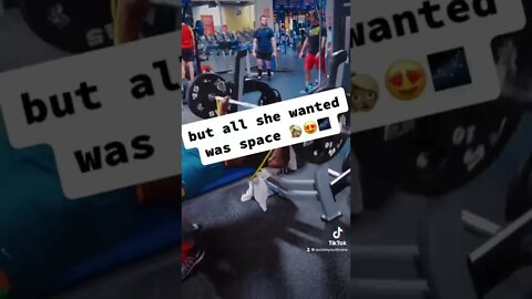 I tried to give her the Milky Way 👑