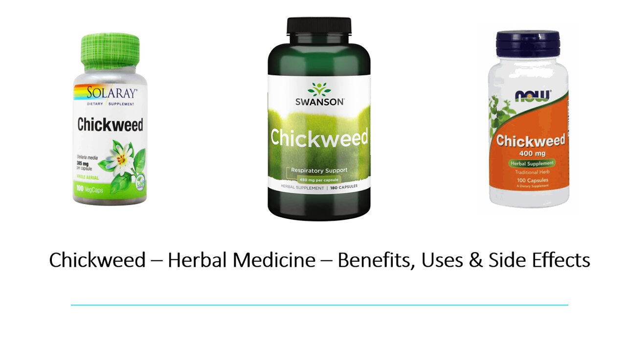 Chickweed Herbal Medicine Benefits, Uses & Side Effects