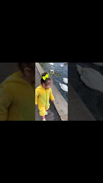 Best Videos Of Funny Twin Babies Compilation - Twins Baby Video. #2022 Happy New Year