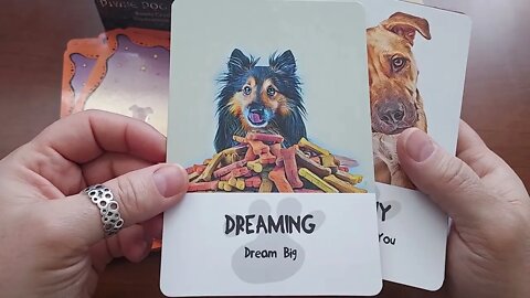 Flip through of Divine Dog Wisdom Cards by Barb Horn and Randy Crutcher