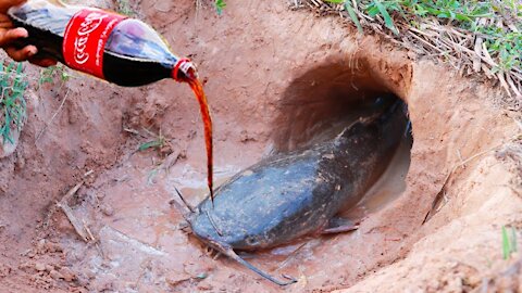 Experiment:Coca Cola, Fanta vs Mentos, Catch A lot of Fish | an incredible way to catch fish