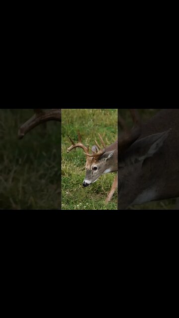 Just A Simple Reminder