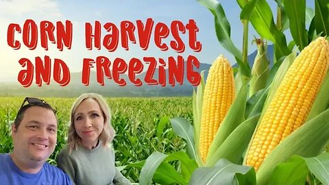 Corn Harvest and Freezing prep