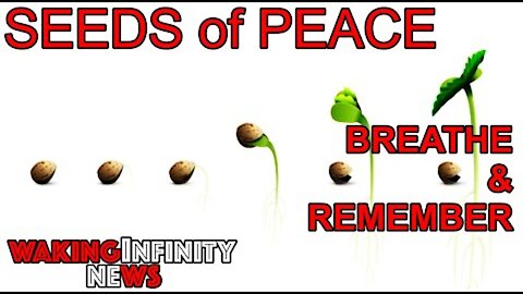 Ep 47: Planting Seeds of Peace with Breath