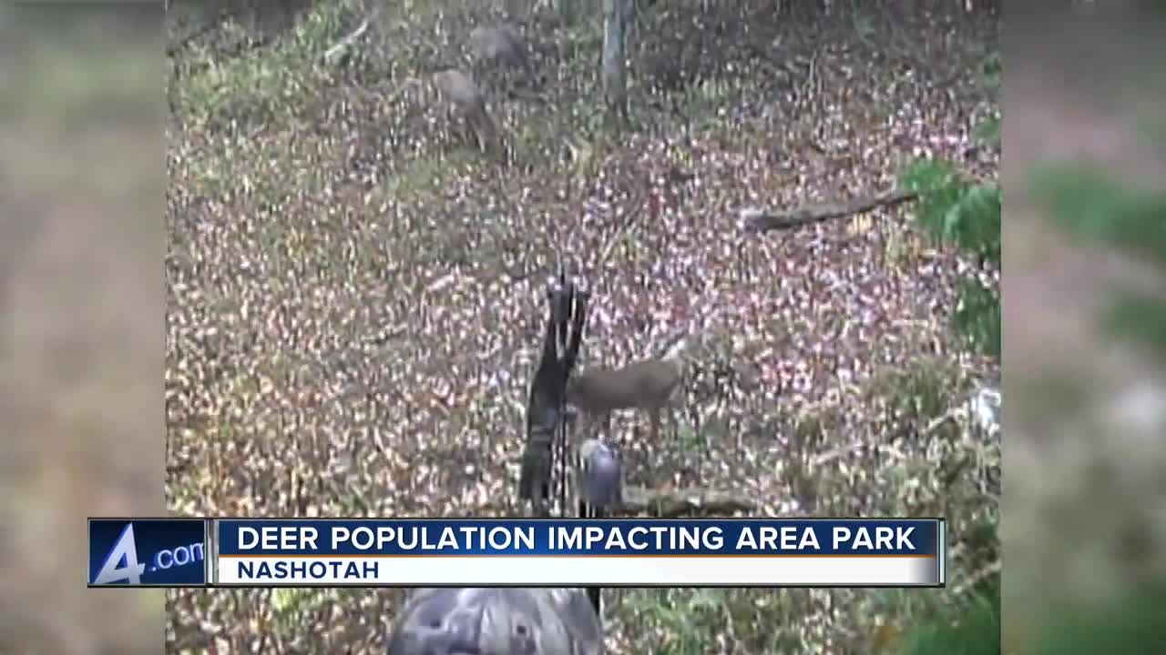 Special Bow Hunt underway to help preserve Waukesha County Park