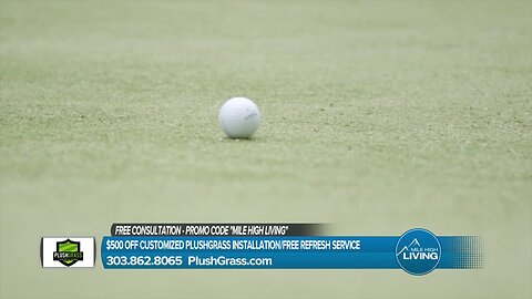 Plush Grass