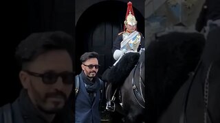 Tourist holds the Reins #horseguardsparade