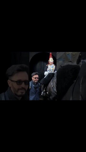 Tourist holds the Reins #horseguardsparade