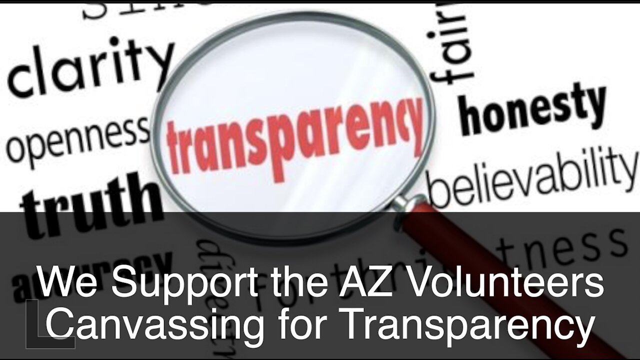 We Support the Canvassing by Volunteers to find voter irregularities