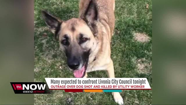 Many expect to confront Livonia city council over dog shot by utility worker