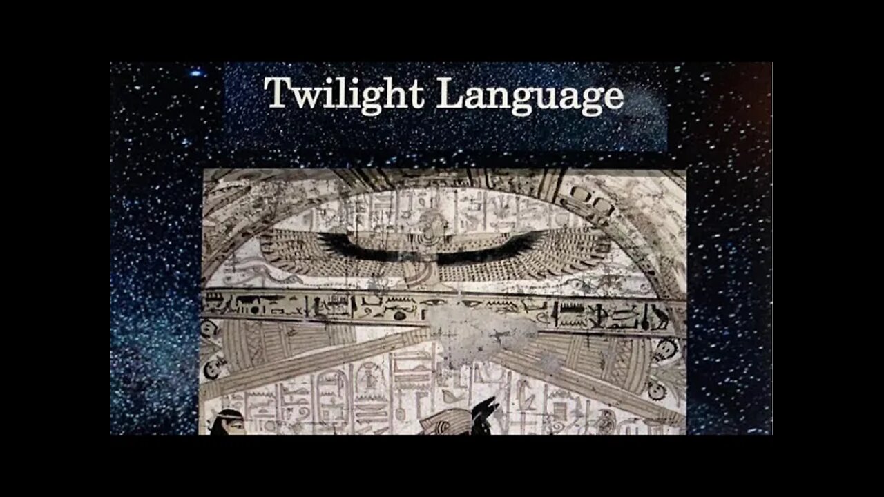 Author Michael Hoffman discusses his new book Twilight Language.