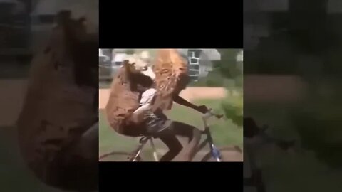 What In The World Did I Just Watch? Part 3 😱🤨🤯 #shorts #animals #video #viral