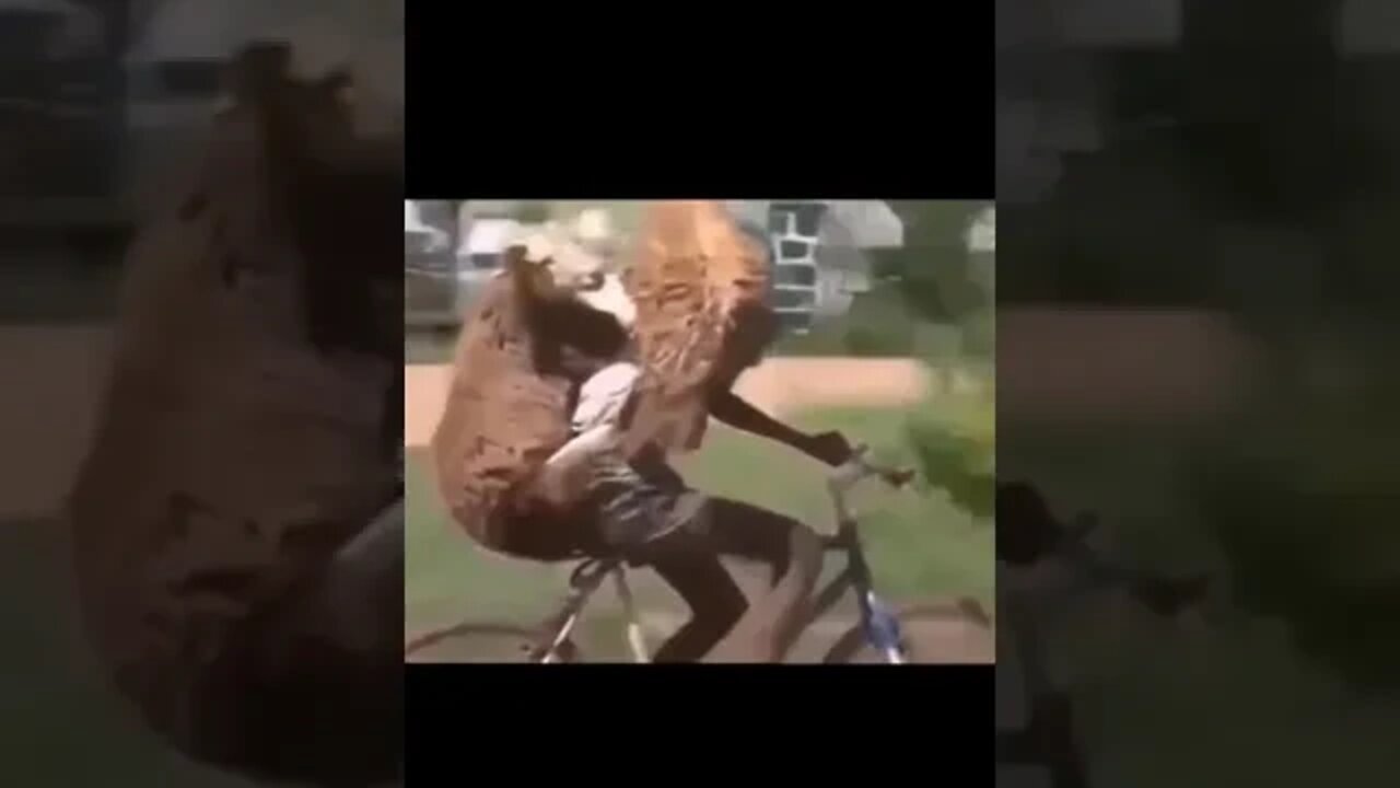 What In The World Did I Just Watch? Part 3 😱🤨🤯 #shorts #animals #video #viral