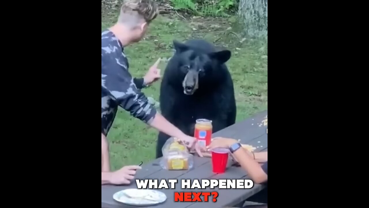 Bear Attack