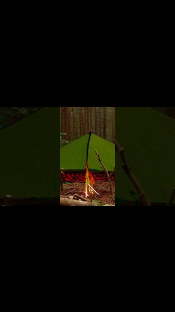 Survival Tarp Camp in the Pines.