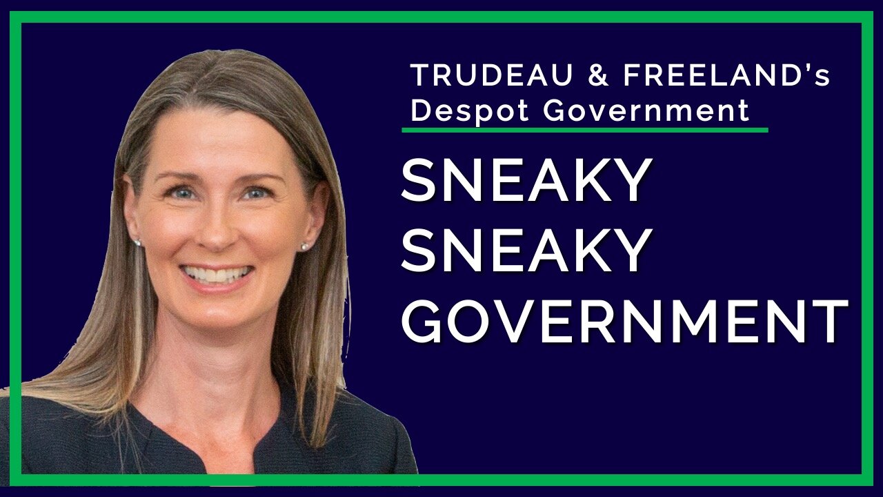 Sneaky Sneaky Government - NADINENOW Frankly Speaking 4K