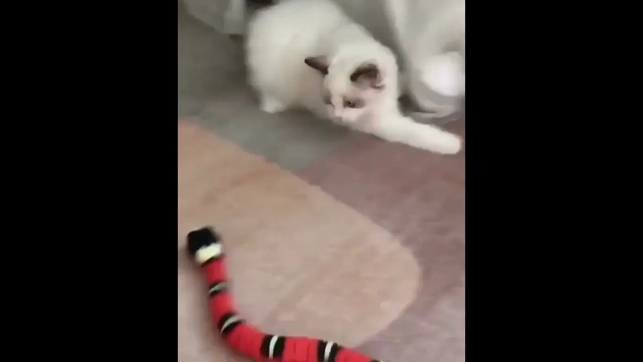 Smart Interactive Snake Cat Toy