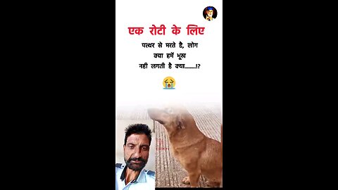dog 🐕 is care guys