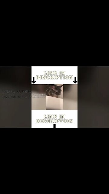 Funny animals..😊😊 #shorts