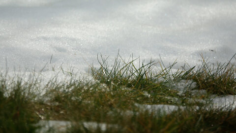 Incredible time lapse of melting snow in two days time