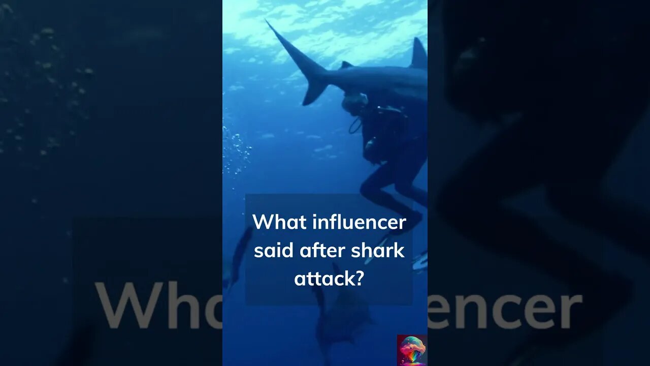 Influencer shark attack...