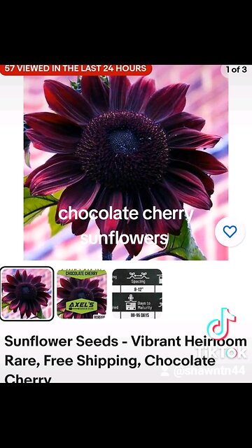 chocolate cherry sunflower
