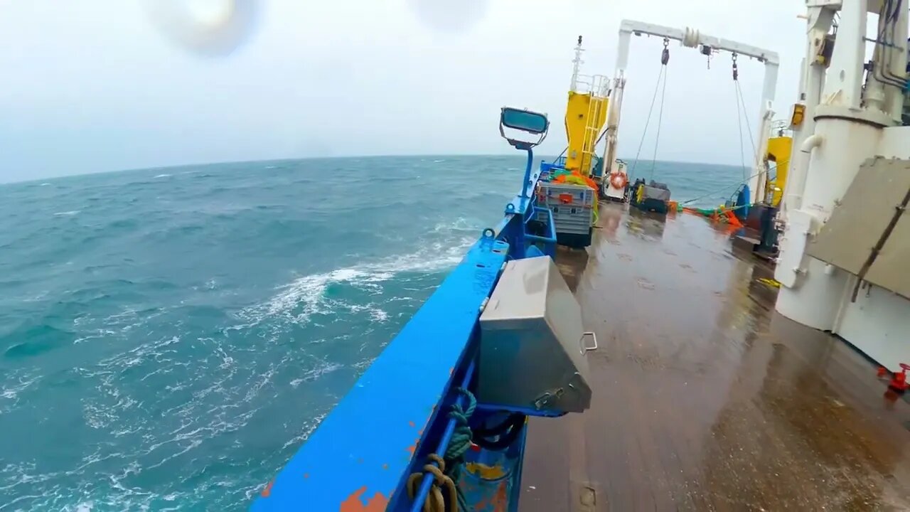 Just missed the dolphins