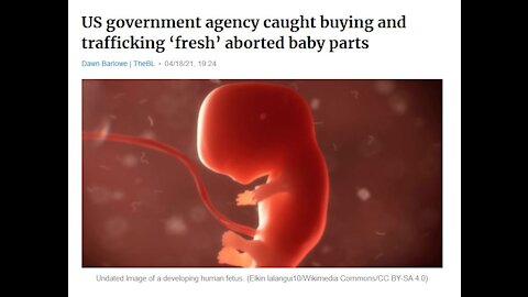 US GOVERNMENT CAUGHT BUYING AND TRAFFICKING ABORTED BABY PARTS, USPS ARE THE NEW SNITCHES + MORE!