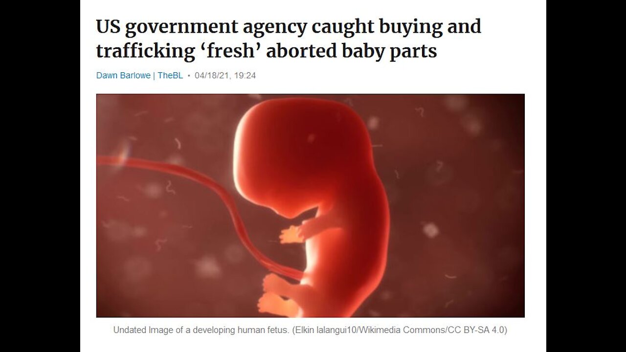 US GOVERNMENT CAUGHT BUYING AND TRAFFICKING ABORTED BABY PARTS, USPS ARE THE NEW SNITCHES + MORE!