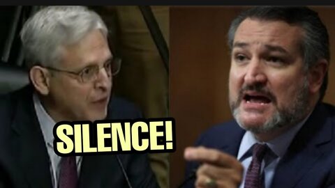 Ted Cruz SILENCE Dems Lawyer In Congress With One Question