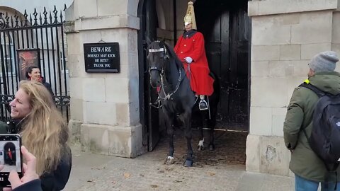 The kings guard stops horse from bitting woman on the head #horseguardsparade