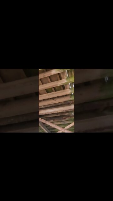 Blackpool #Blackpool