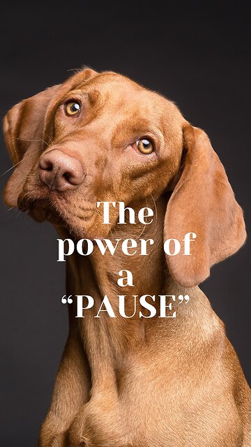 Mastering the Power of the Pause: Mindfulness