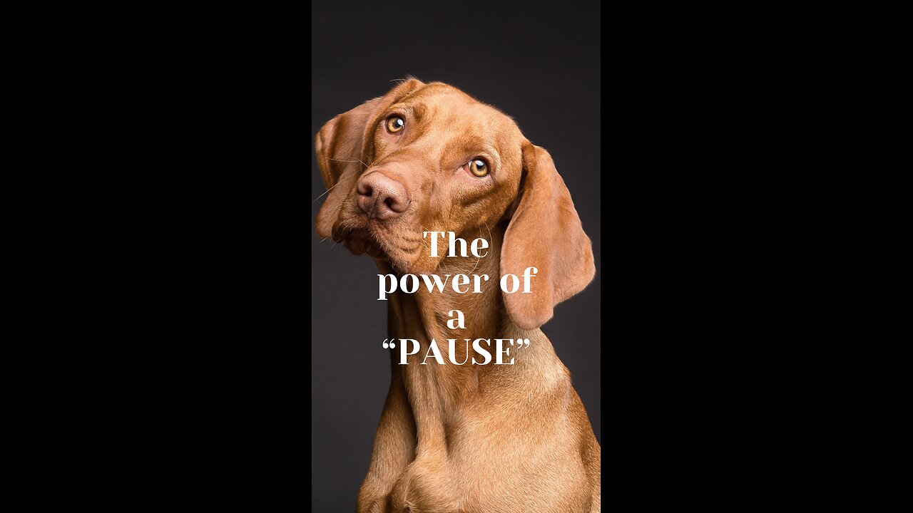 Mastering the Power of the Pause: Mindfulness